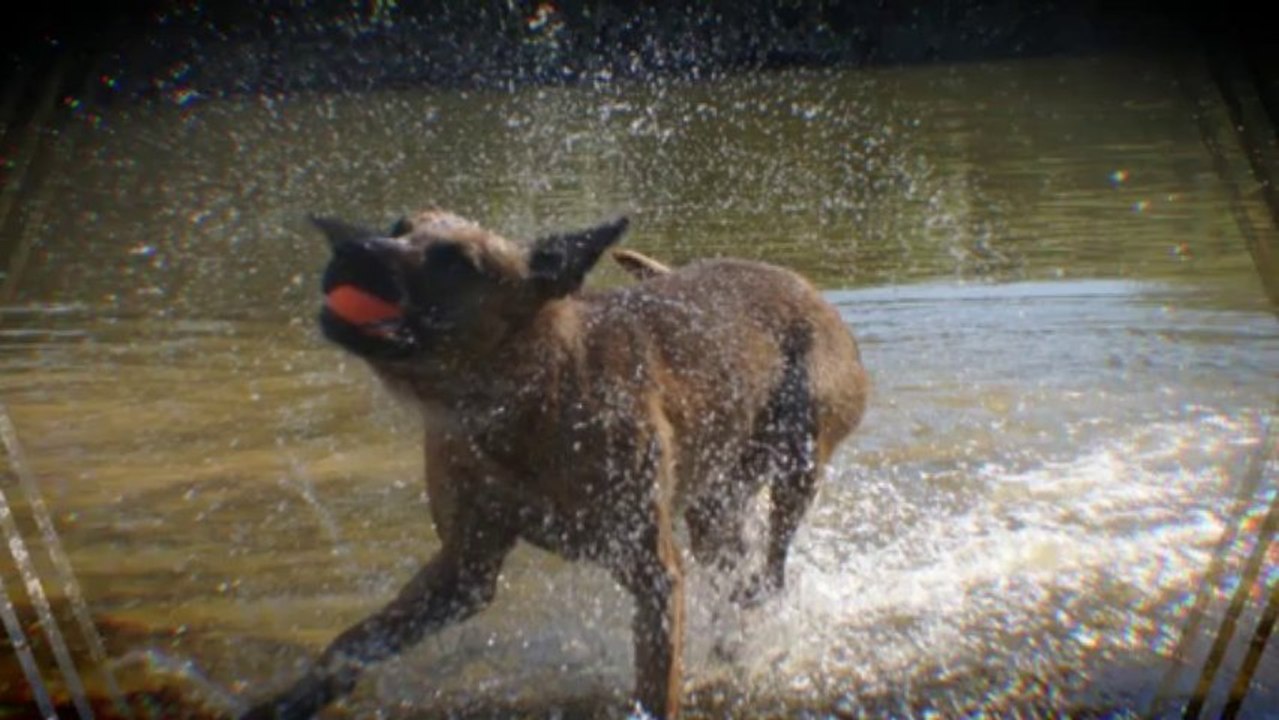 Be Aware C'Teufelchen @ Waterfun