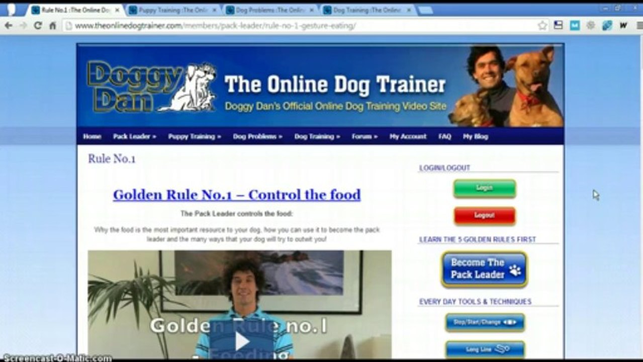 Doggy_Dan_Online_Dog_Trainer_Review