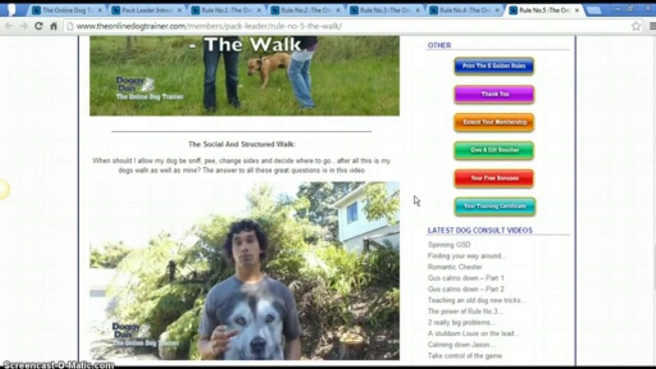 Doggy_Dans_5_Golden_Rules