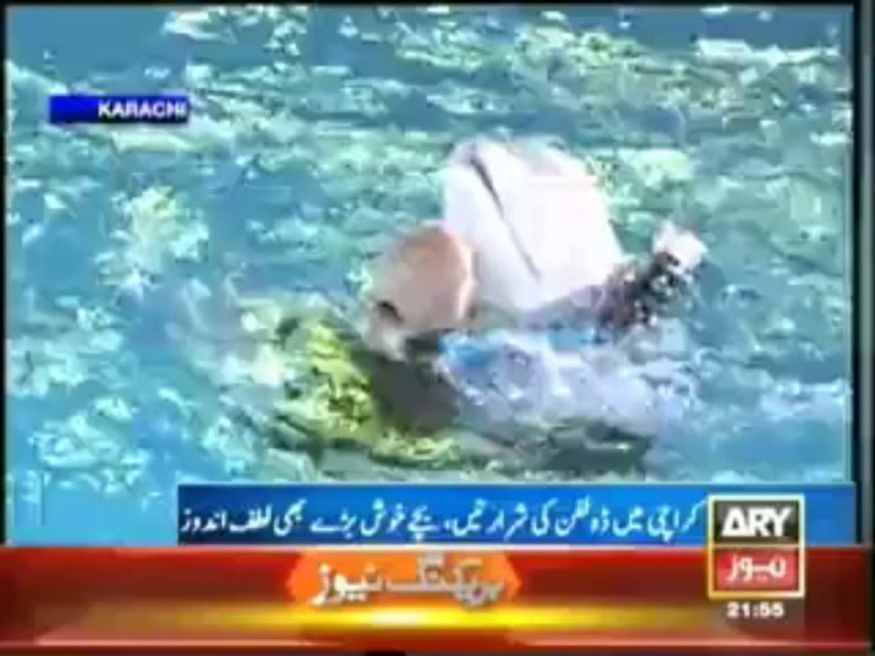 Karachi Dolphin Show