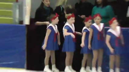 Mid-America Championships CEFSC Beginner 1 IceStars 4th place - Jan 2014