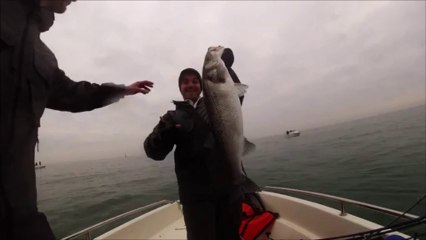 Giant Seabass Caught! 🐟