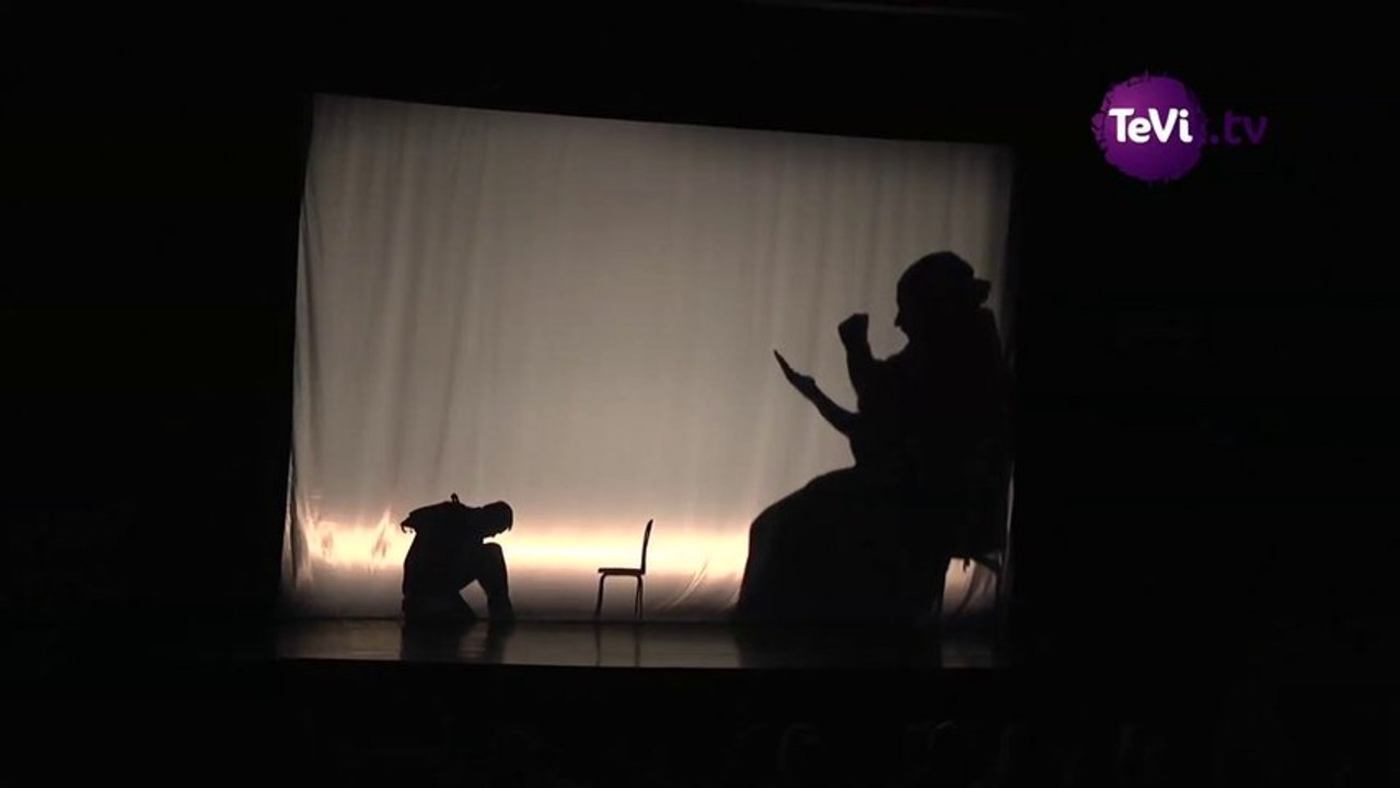 Le Théâtre de la Boderie en résidence à Saint-Lô [TéVi] 14-01-14