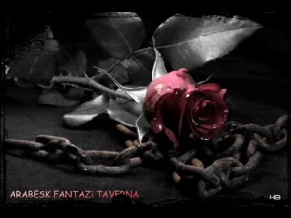 Feridun Bağrıyanık - Gunun Birinde