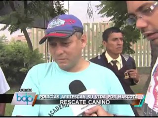 Policías arriesgaron sus vidas en el río Rímac para salvar a una mascota