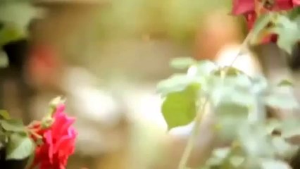 Tekin Uçar - Çawreşamın - (2013)