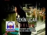 Tekin UÇAR gülüm