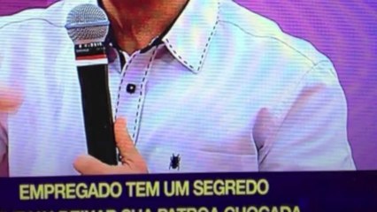 2014 - O NOSSO ANO - O ANO DA M.POLLO NO BRASIL