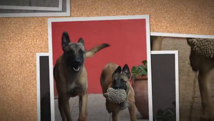 Be Aware Eywa & Bino @ Dirty Harriet meets Gentleman