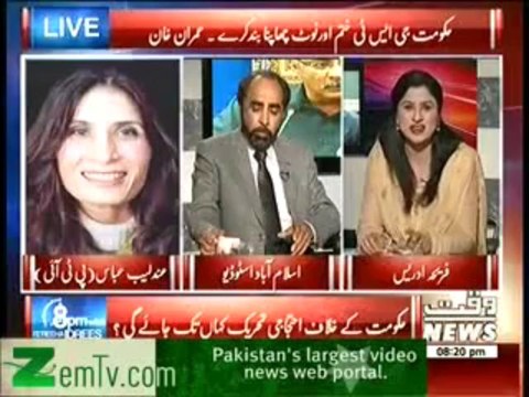 8pm with Fareeha (23rd December 2013) Hukumat Ke Khilaf Ehtijaj Kahan Tak Jaye Gah