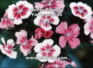Hasan Ergüçlü - Ya Resulallah -