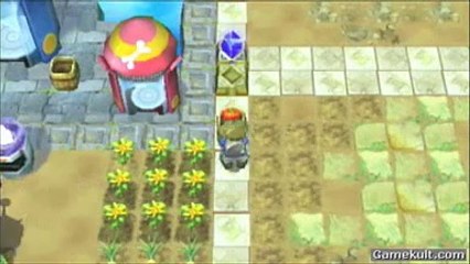 Innocent Life : A Futuristic Harvest Moon - Elles sont fraîches mes tomates !