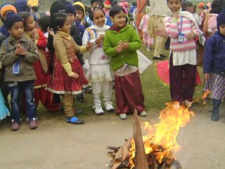 Lohi Da Din Hai Aaaya - Lohri Dhamaal