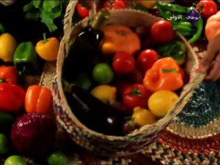 Abu Dhabi TV - 04-05-2013 10h30 15m 3703