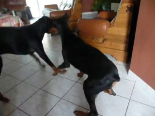 deux petits jeunes...