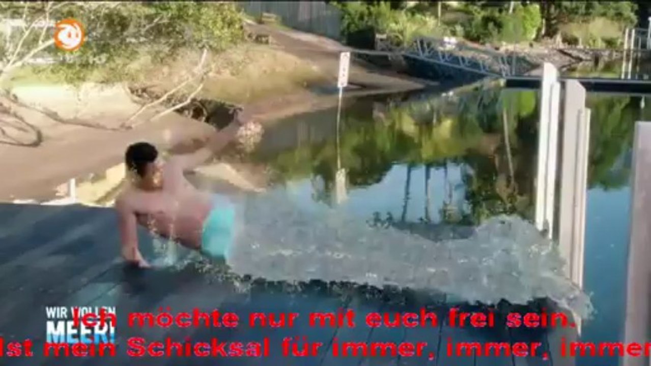 Mako - Einfach Meerjungfrau Opening mit deutschen Untertitel!