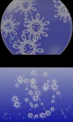 Electroplankton : Marine-Crystal - Vidéo de gameplay