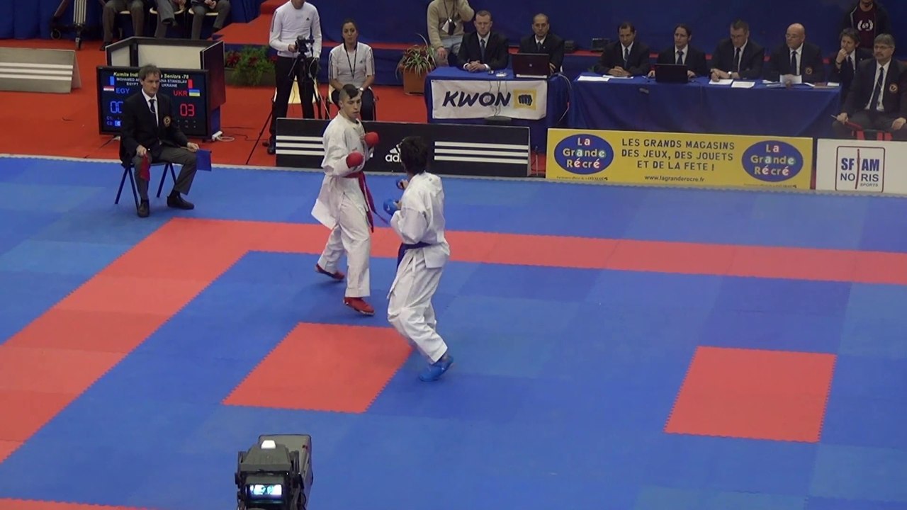 Finale Combat Individuel Masculin -75kg - Open de Paris 2014