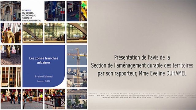 Les zones franches urbaines - cese