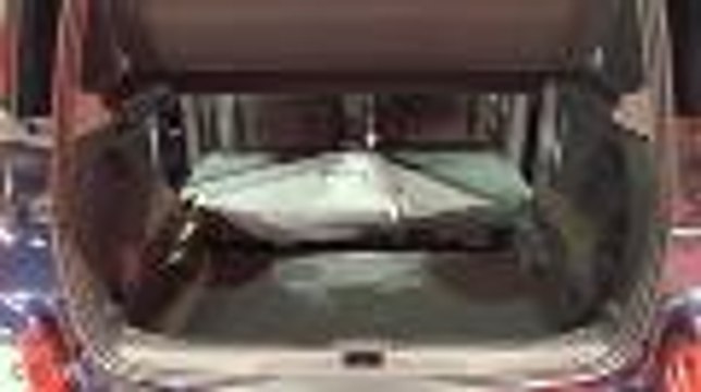 C3 Picasso - Mondial de Paris 2012