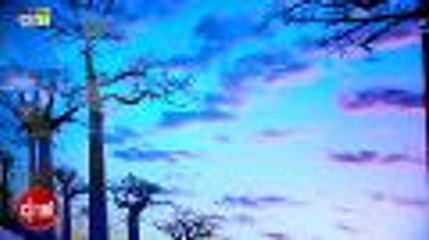 CES 2013 : Sony Bravia X900A