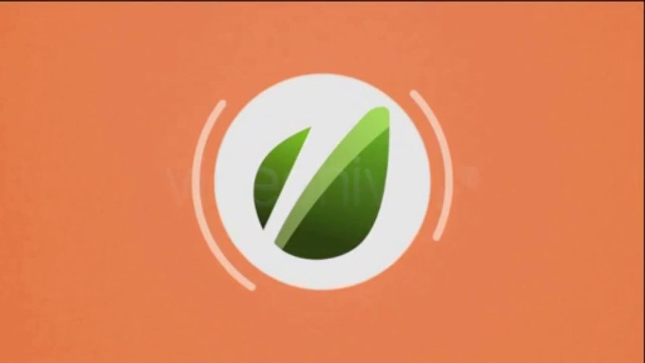 Motion Graphic Logo - After Effects Template