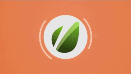 Motion Graphic Logo - After Effects Template