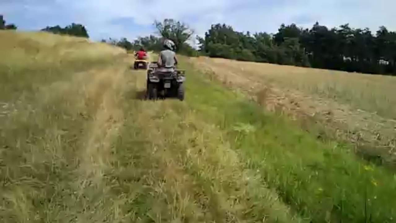 Sans Titre
