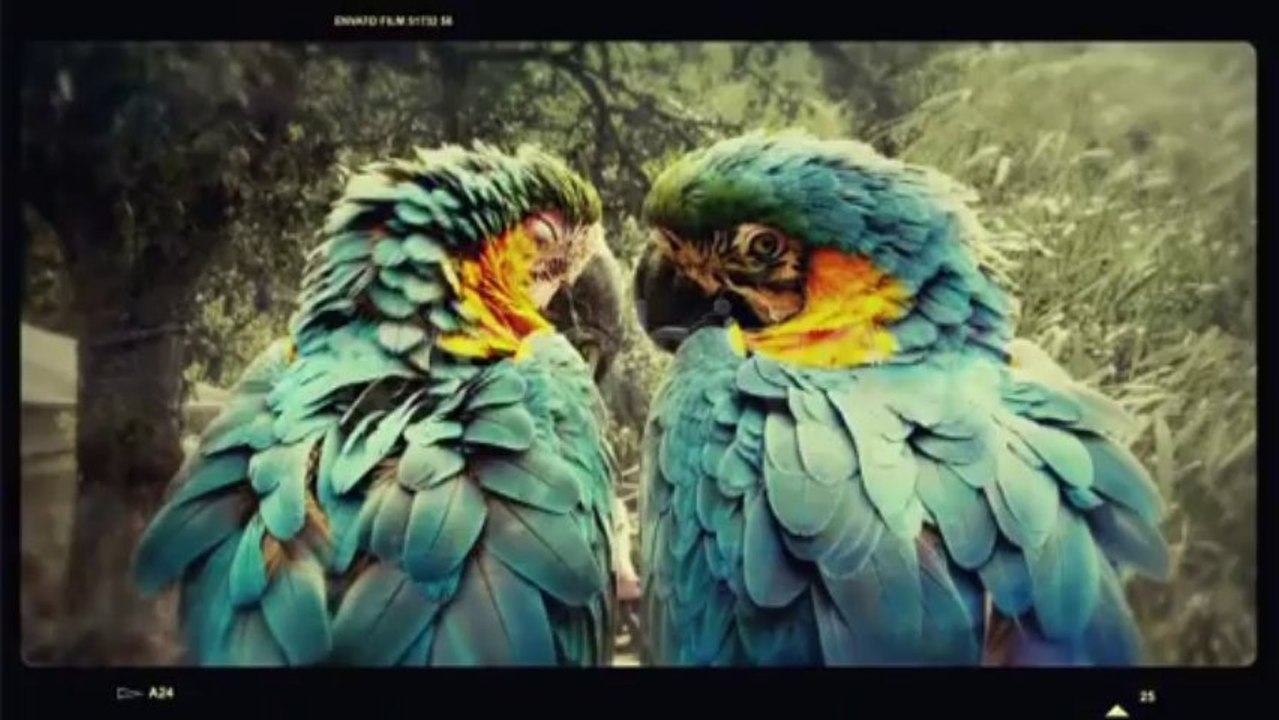 Memories II - After Effects Template