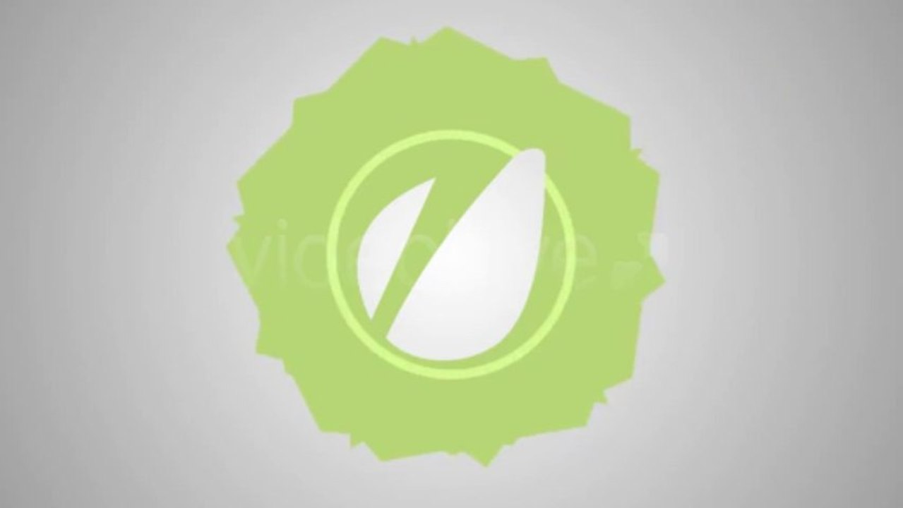 Stylo Colorful Logo Reveal - After Effects Template