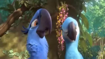 septima diversion 12 enero 2014