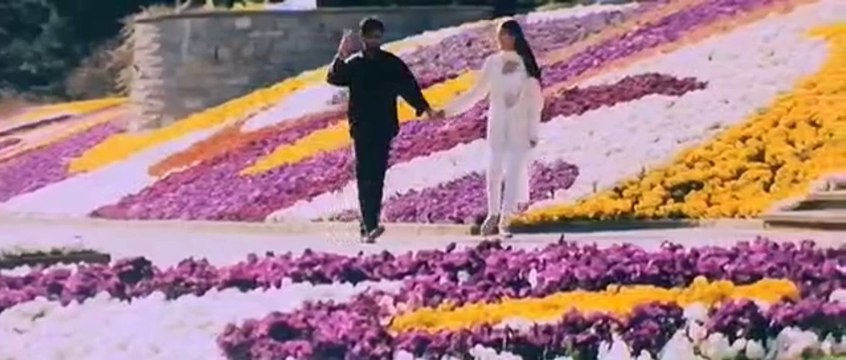 Tum Dil Ki Dharkan - Dharkan