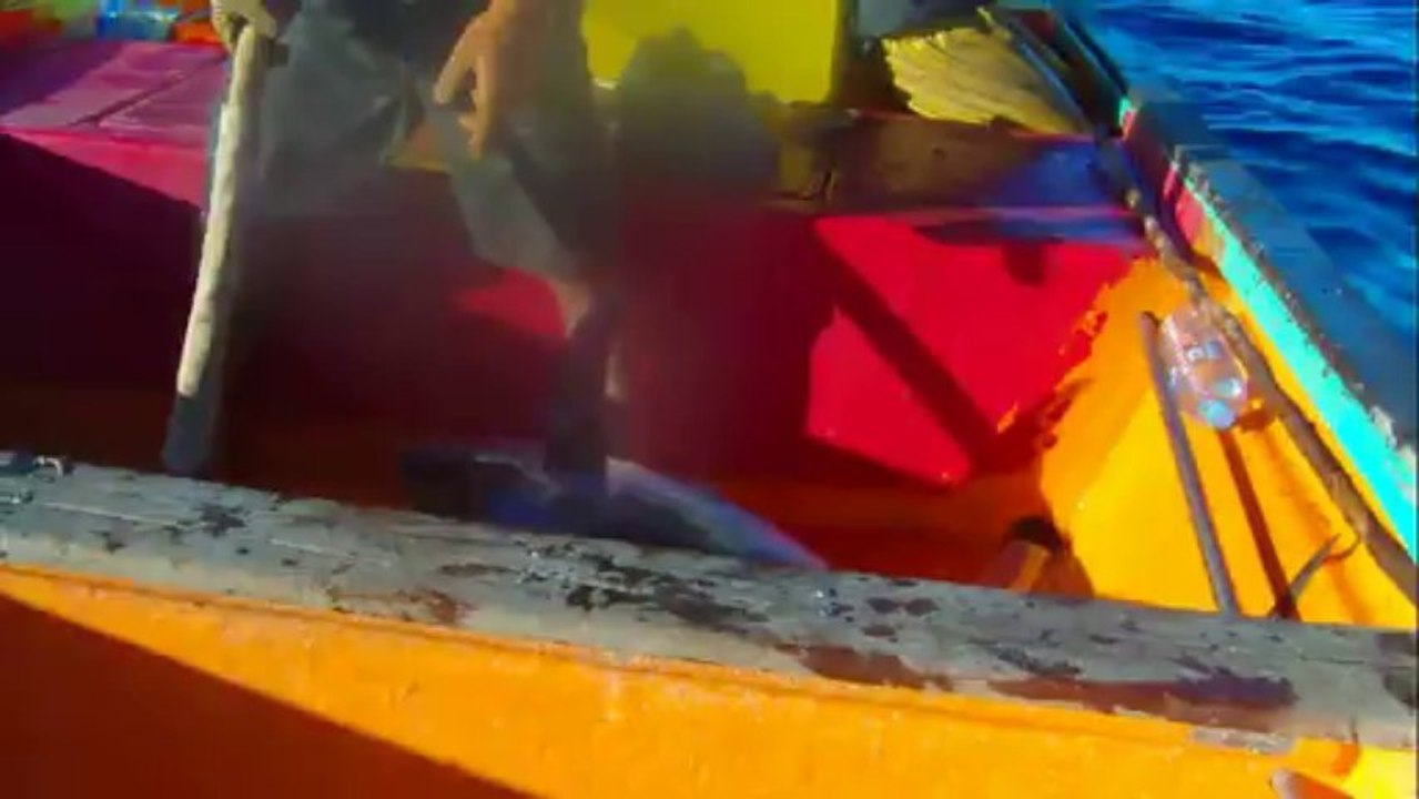 GUADELOUPE JOURNEE PECHE EN MER AVEC DIDIER SUR SON BATEAU DE TYPE SAINTOISE