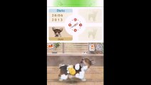 Nintendogs : Dalmatien et ses Amis - Lavons Puyo !