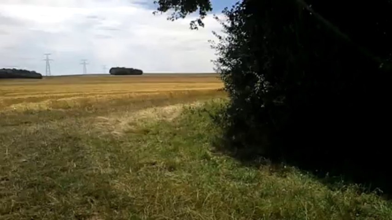 Sans Titre