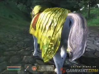 The Elder Scrolls IV : Knights of the Nine - Quelle belle armure