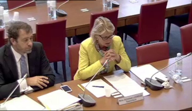 Audition de MM. Jean-Christophe Sciberras, président du bureau de l’ANDRH, et Philippe Dorge, DRH du groupe PSA. - Jeudi 16 Mai 2013