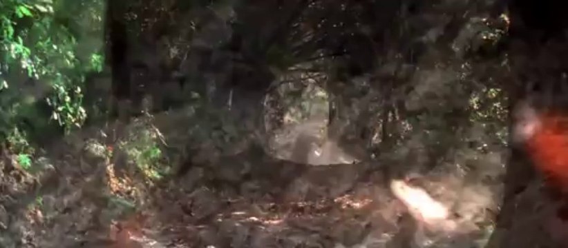 The Lord of the Rings The Fellowship Of The Ring