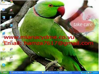 How to clear pimpals in face with adobe photoshop