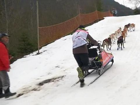 Grande Odyssée: un boulanger devenu conducteur de traîneau candidat - 14/01