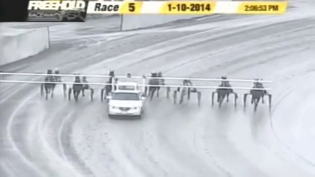 Terrible accident sur un Hippodrome : voiture contre Cheval!