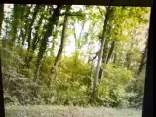 Azety - Panorama Photo 1