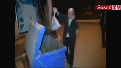 Bodrum kedilerine vahşet uygulandı