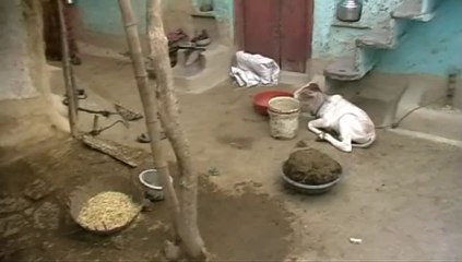 INDIAN VILLAGE LIFE - A real life