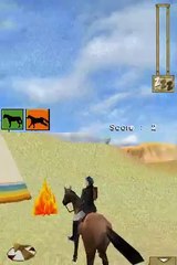 Mission équitation - USA