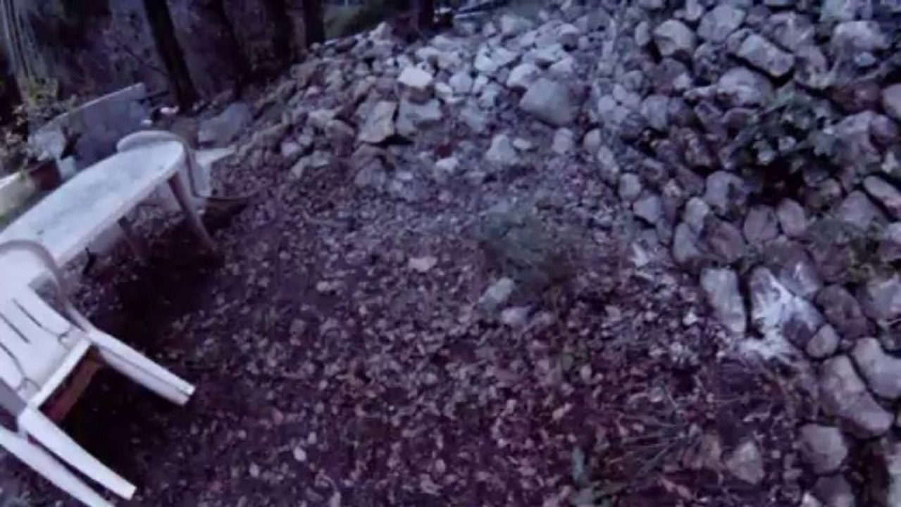 fpv by  presque night