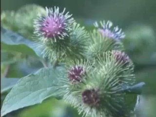 ozan binali aktaş ( gelemem )