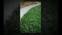 דשא סינטטי באשדוד - חייגו: 077-2150031 - דשא קבוע