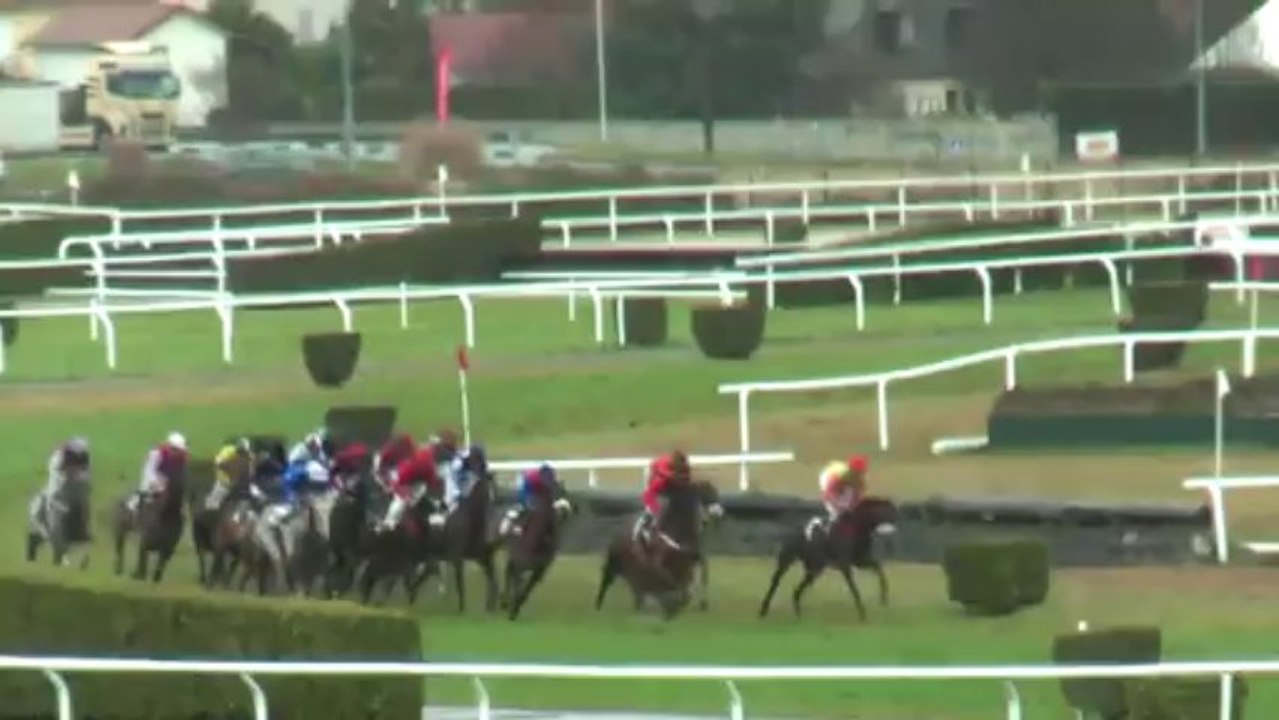 Tiercé, Quarté+, Quinté+ à Pau (14/01/2014)