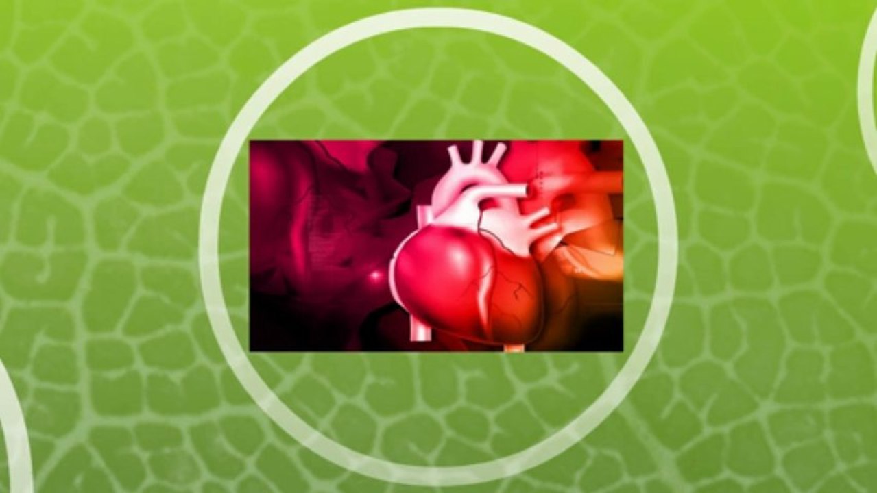 What is Palpitation